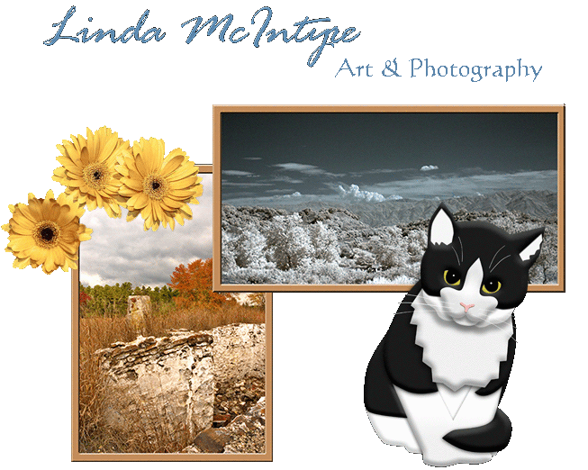 Collage of Photos