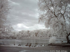 5th photo