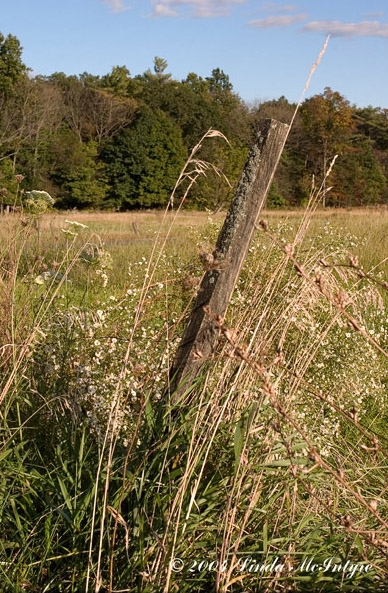 current photo on display