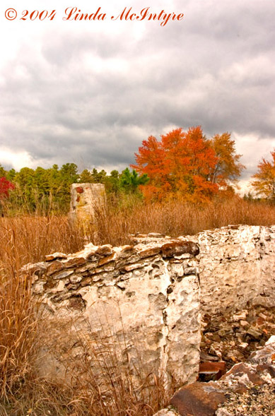 current photo on display